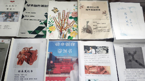 еҽѧԺٰ조ڶʱ걾